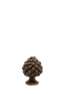 TerraDiColori_Pigna_Marrone_11